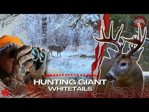 Hunting a WORLD-CLASS Saskatchewan Giant | Canada in the Rough