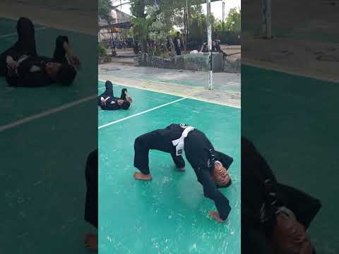 Persaudaraan Setia Hati Terate #psht #pshtmantup @smpn2mantup369 #pshtpusatmadiun #pshtlamongan