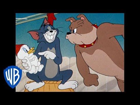 Tom & Jerry em Português | Brasil | Coletânea de desenhos clássicos | Tom, Jerry e Spike | WB Kids