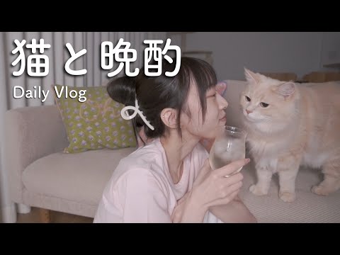 帰宅して女1人と猫達で晩酌vlog🍺🐈