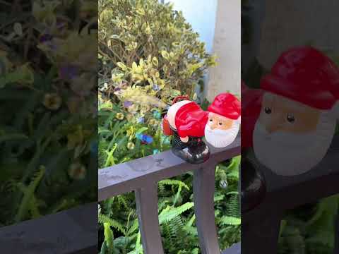 New Viral Gadgets, Smart Appliances, Kitchen Utensils/Home Inventions #viral #gadgets