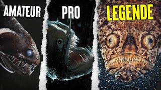 TOP 10 des Créatures Des Abysses Les Plus Terrifiantes