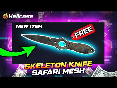 I JOINED YOUTUBER'S CASE BATTLE (hellcase)