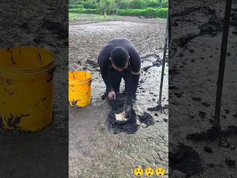 Dad, what are you looking for in this dirty pond?#shorts #viralshorts