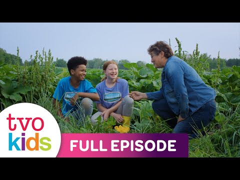 LEO'S POLLINATORS - Fall's Favourite Bee - Full Episode