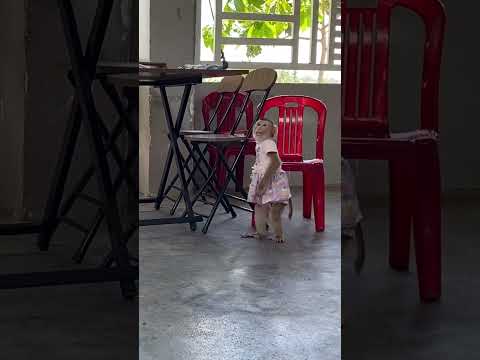 Monkey LyLy helps mom #shorts #monkey #monkey Lyly #smart monkey #cute #babymonkey#