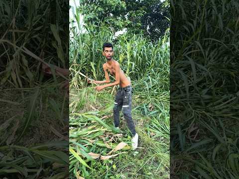 5 rupe h #comedy #mummycomedy #trending #funny #viralcomedy #shortvideos #shorts #short #ytshorts