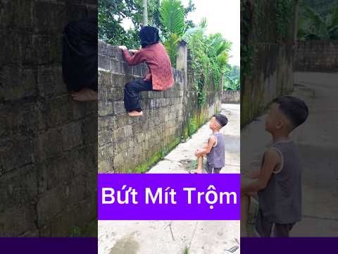 Bứt Mít Trộm (Picking Jackfruit Thieves) Hường Pao Vlog