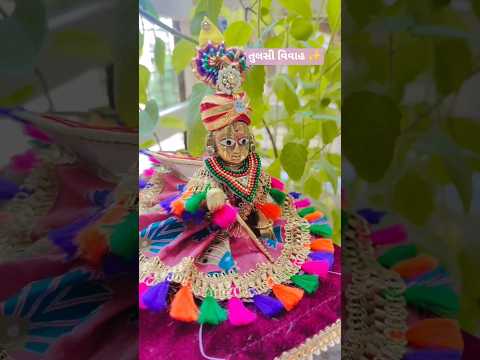 તુલસી વિવાહ💫🌸 ✨#marathakrnana#tulsivivah#devuthiekadashi#tulsivivahspecial#tulsimata#vivah#lagngeet