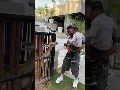 ุฒูุฒู ุฑุงุญ ูููุง ๐