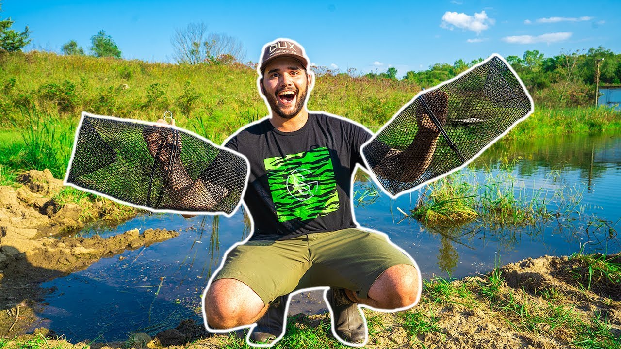 Using MINNOW TRAPS in My BACKYARD POND (Surprising Result)