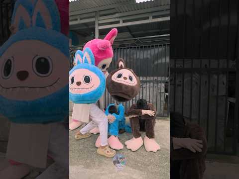 Semua Kepala Labubu diambil Teman