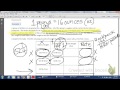 Understanding Ratios and Proportions