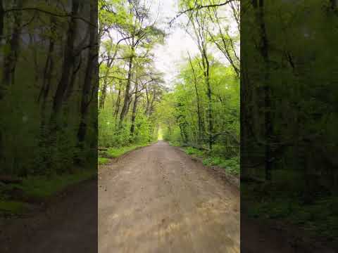 Mathieu van der Poel riding in his backyard