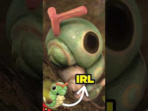 ON A TROUVÉ UN POKÉMON DANS LA VRAIE VIE ! 😍