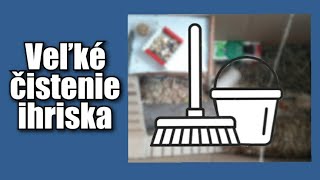 Veľké čistenie ihriska | Škrečík Tv  🐹