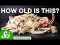 Understanding Carbon Dating and Stonehenge