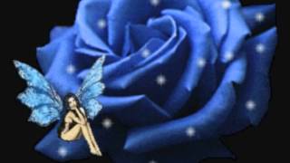 Mr. Vee & Michaela - Ty jsi moje zlato