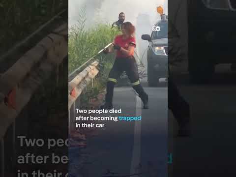 Deadly wildfires in Cyprus burn out of control | DW News