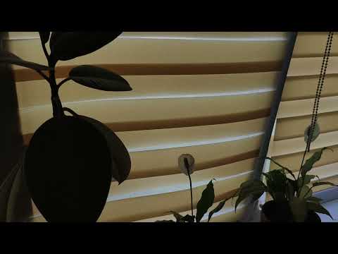 Лёгкая практика от Сергея ...