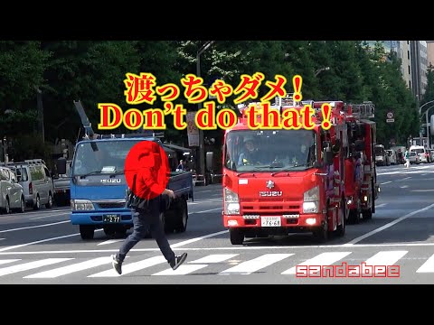 サイレン鳴らす消防車が赤信号で停まってもその前を渡っちゃダメ！