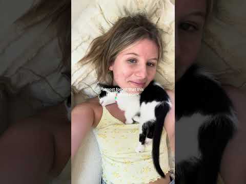 the light of my life 💛 #catdistributionsystem #catmom #bottlebaby #rescuecat #catrescue