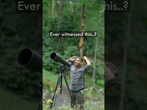 Ever Witnessed this? #wildlife #keralawildlife