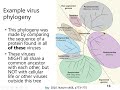 Virology Concepts and Relationships