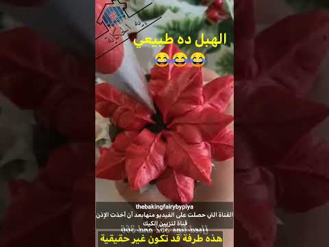 الهبل ده طبيعي 😂😂