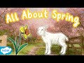 Spring Seasons and Nature Facts