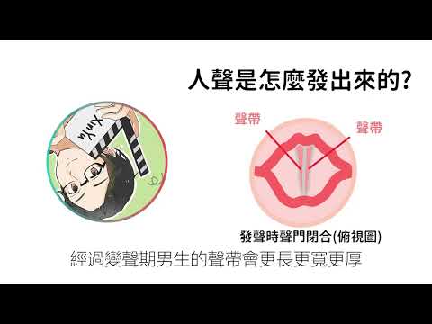 偽音大解密：認識聲帶 - YouTube