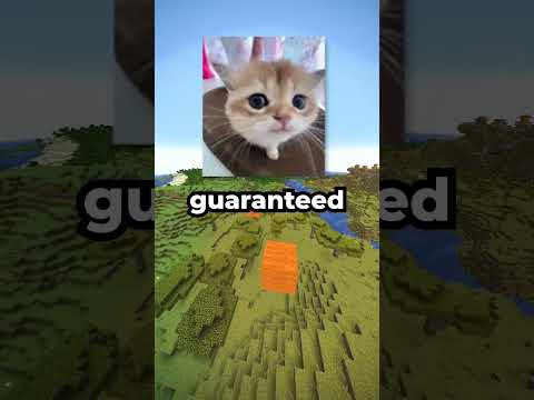 Which Items Would You Take? 🧙‍♂️🪄