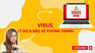 Những nguyên nhân khiến máy tính bị nhiễm virus và cách phòng tránh