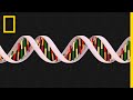 Exploring the Basics of Genetics and Traits