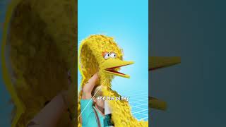 Who's In Control Of Big Bird? 🤔