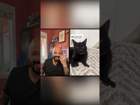 The accent is EVERYTHING!๐๐น #cats #funnycats #reaction
