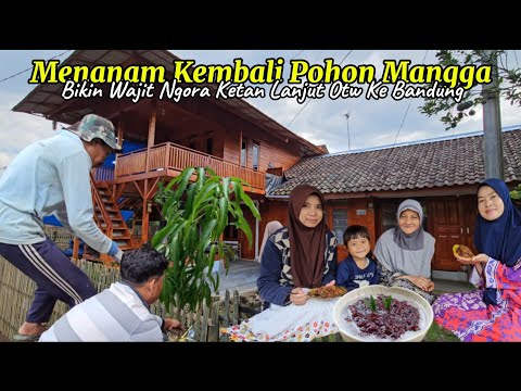 Eps 67 Renov DAPUR KESAYANGAN !! Nanam Bibit Pohon Bikin Wajit Ngora Lanjut Ke Bandung