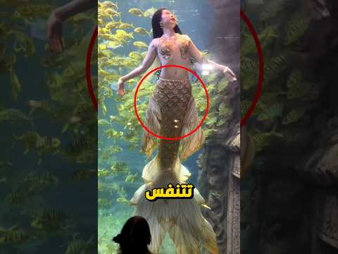 السر الذي تخفيه حوريات البحر للتنفس تحت الماء؟😨🤔
