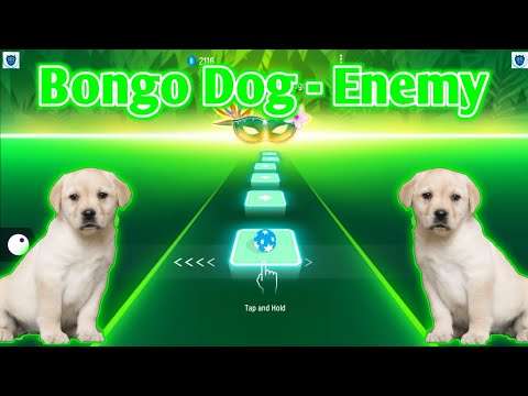 Cute Dog - Enemy Imagine Dragons (Bongo Dog) : Tiles Hop Widescreen