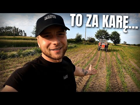 NIEDZIELNA PRACA W G.... SIĘ OBRACA 😂 ILE WYNIÓSŁ MNIE OPRYSK NA CHWASTY?