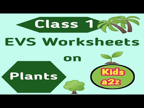 plant worksheet for kids jobs ecityworks
