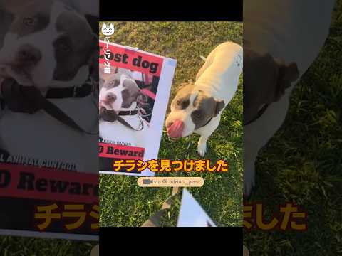 友達を失った悲しみをどうすれば忘れることができるでしょうか | 心温まる話