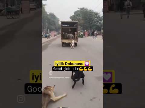 iyilik Dokunușu 💟 Via 📹. #shortvideo