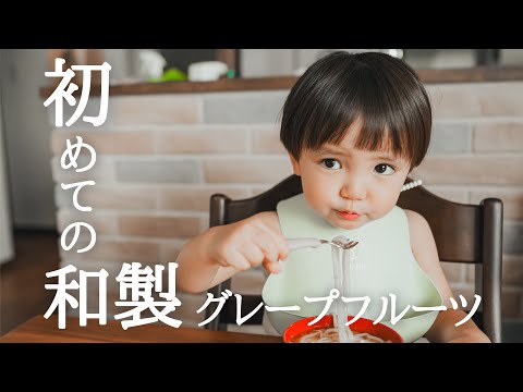 【幼児食】人生初の和製グレープフルーツで予想通りの大興奮?!