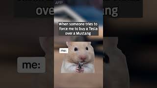“But have you driven a Tesla?” Brother, I’m trying to hear my car.