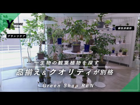 【おすすめグリーンショップ】インテリア性抜群｜洗練された観葉植物が並ぶREN（レン）｜店舗紹介