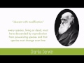 Evolutionary Biology Concepts and Natural Selection