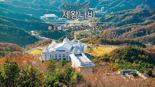 帝王蝶  제왕나비（チェワンナビ）