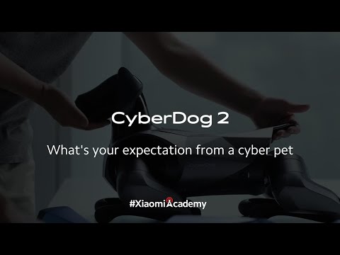 What's your expectation from a cyber pet?