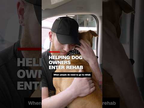Helping dog owners enter rehab